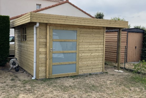 Abri de jardin en bois Toit Terrasse avec auvent